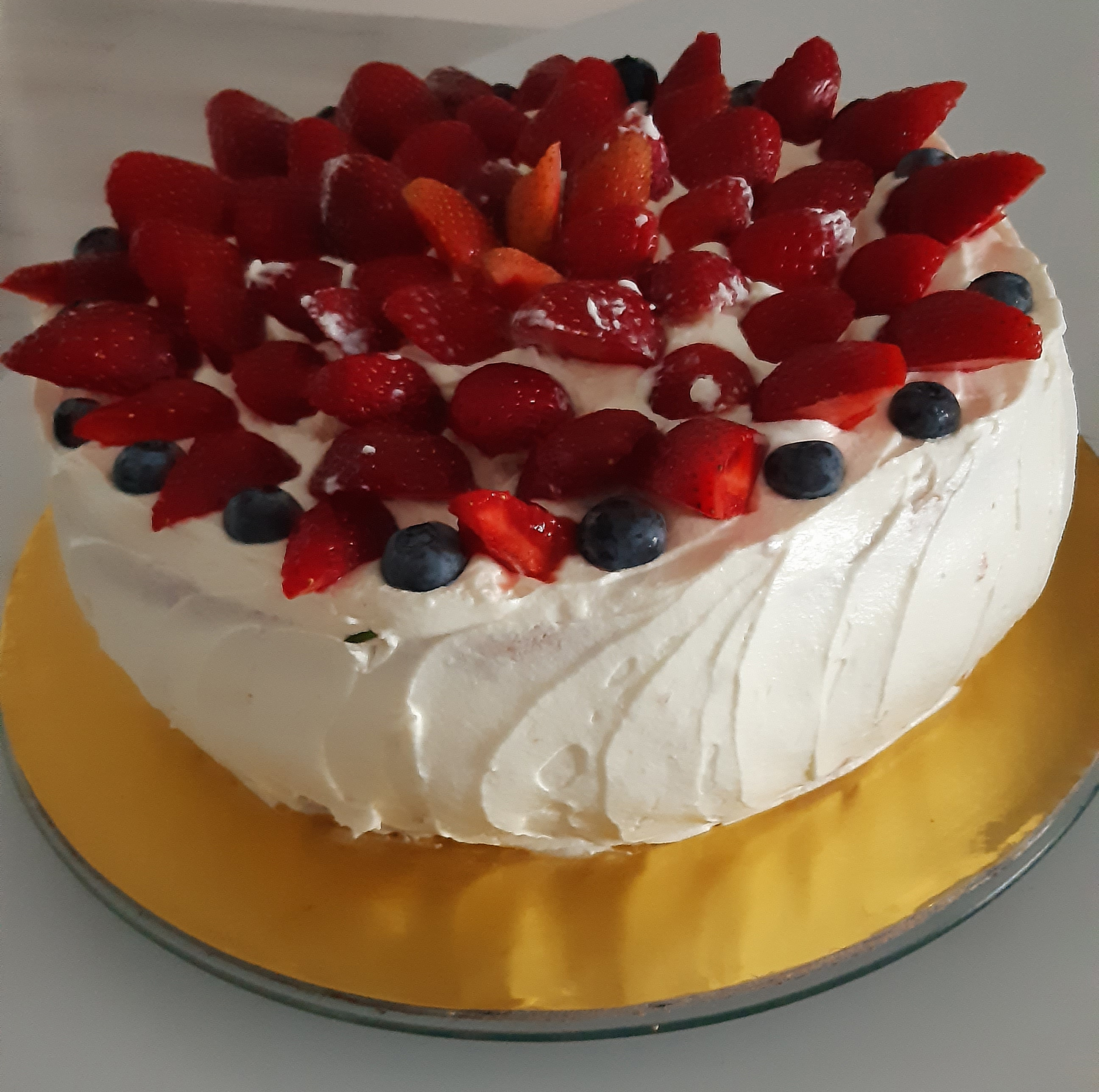 tort01.jpg
